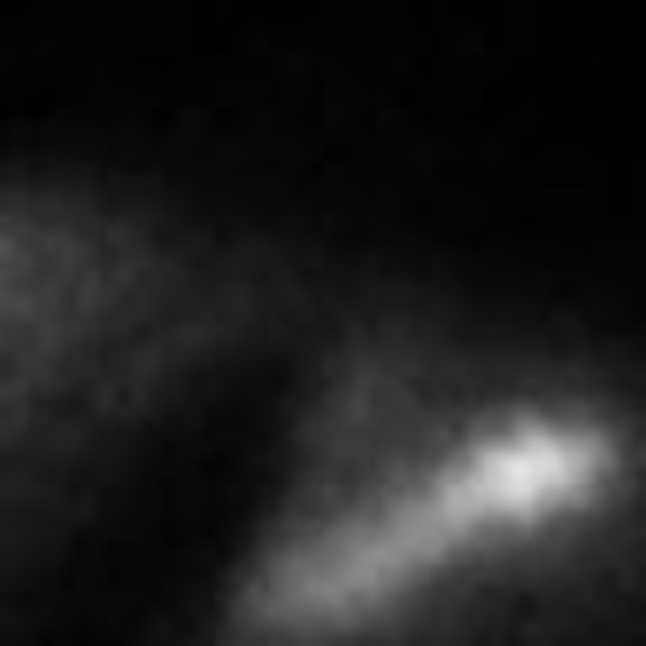 Meet your Posher, Michael - Picture 1 of 1